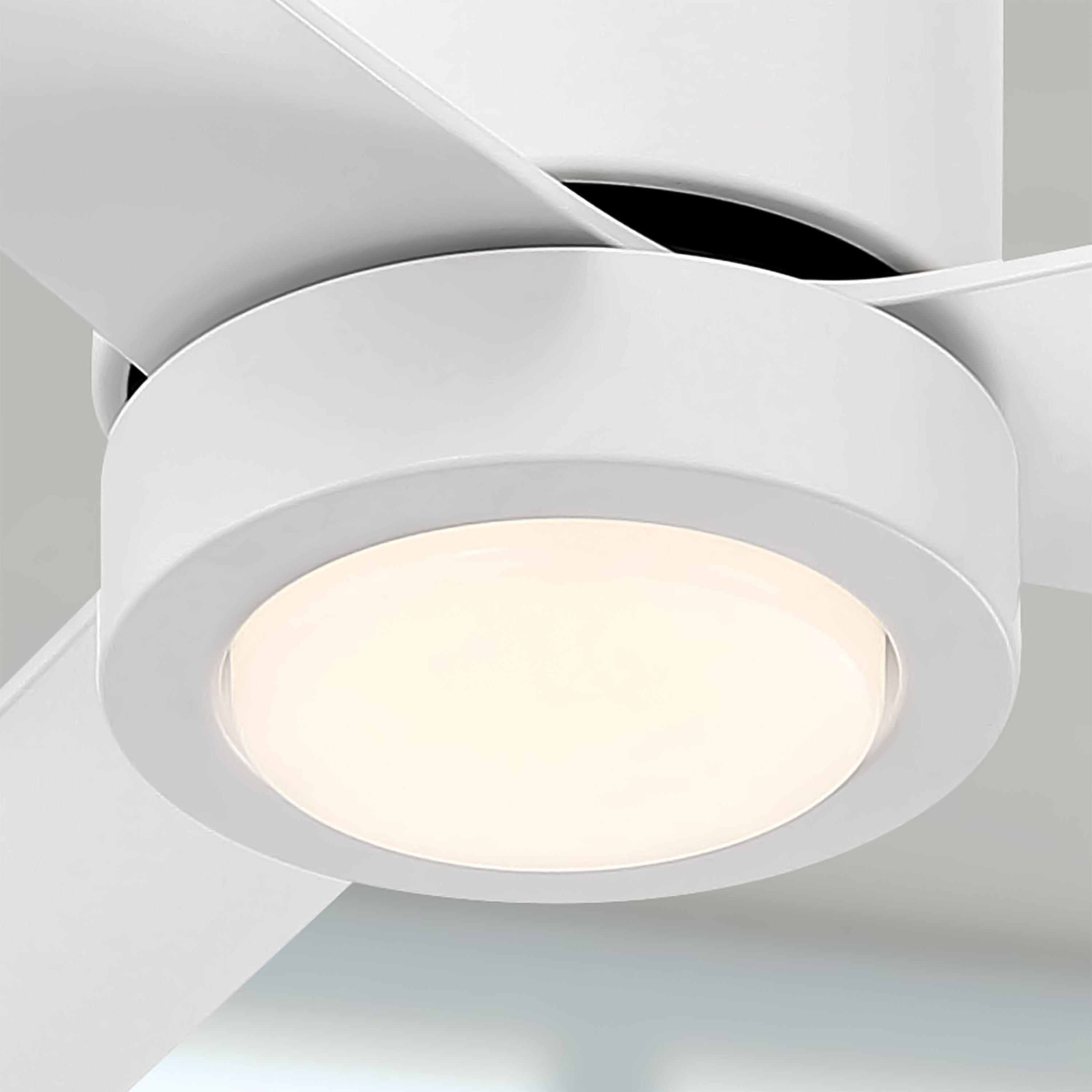 Ceiling fan with light fixture on a white ceiling