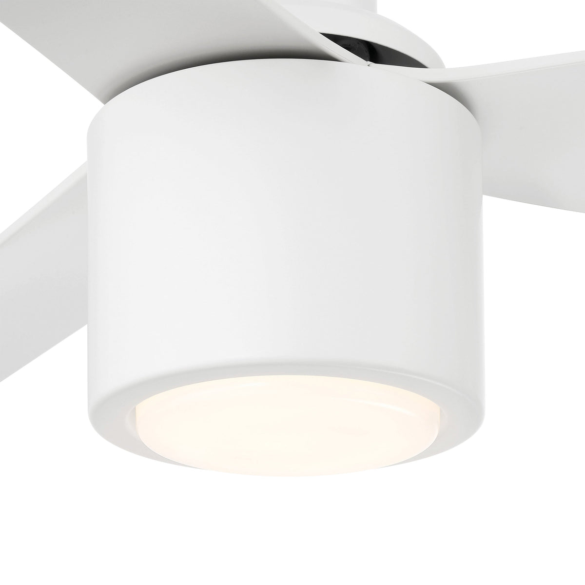 Ravian Ceiling fan with light fixture on a white background