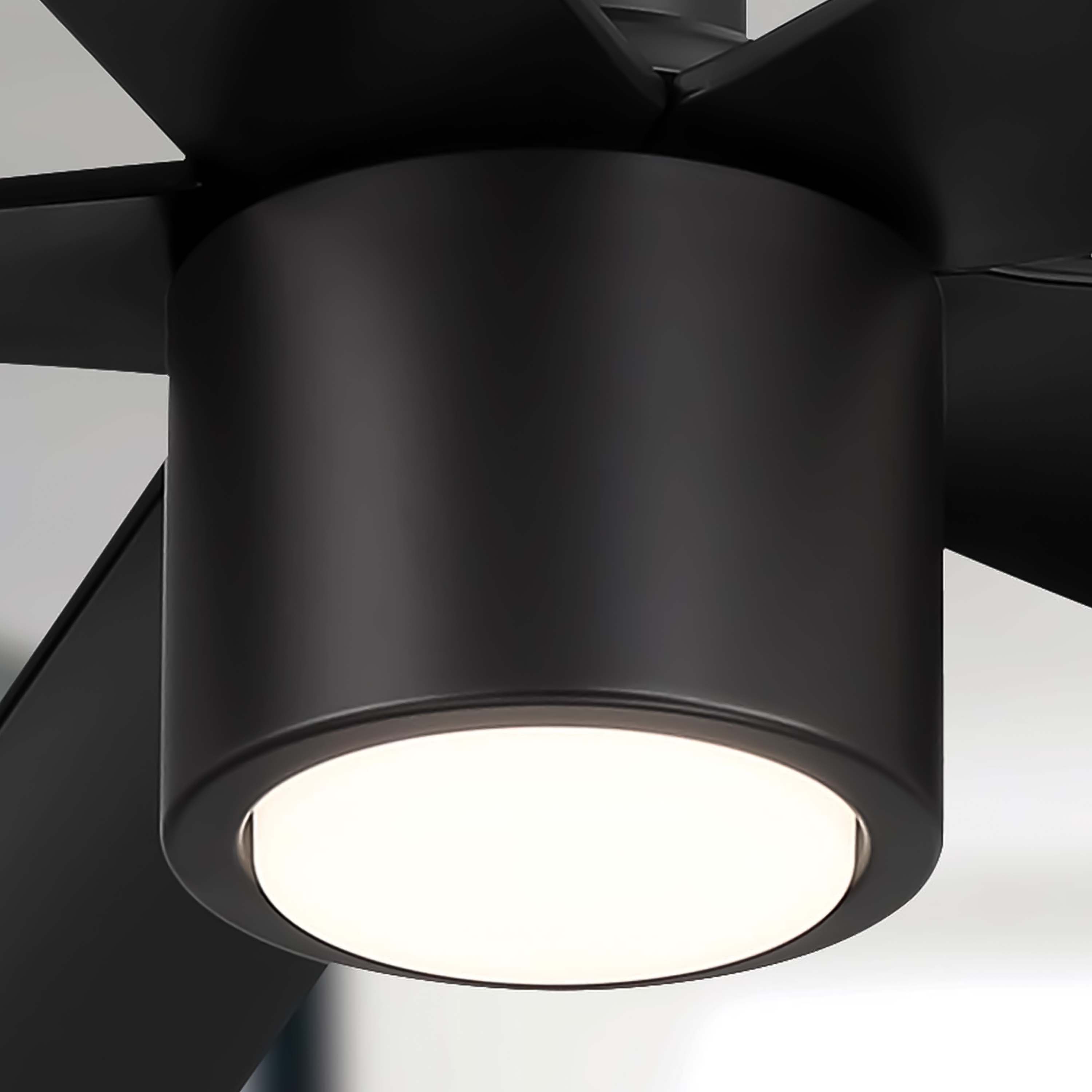 RAVIAN 60-inch 5-blade modern ceiling fan with remote control and optional LED light kit