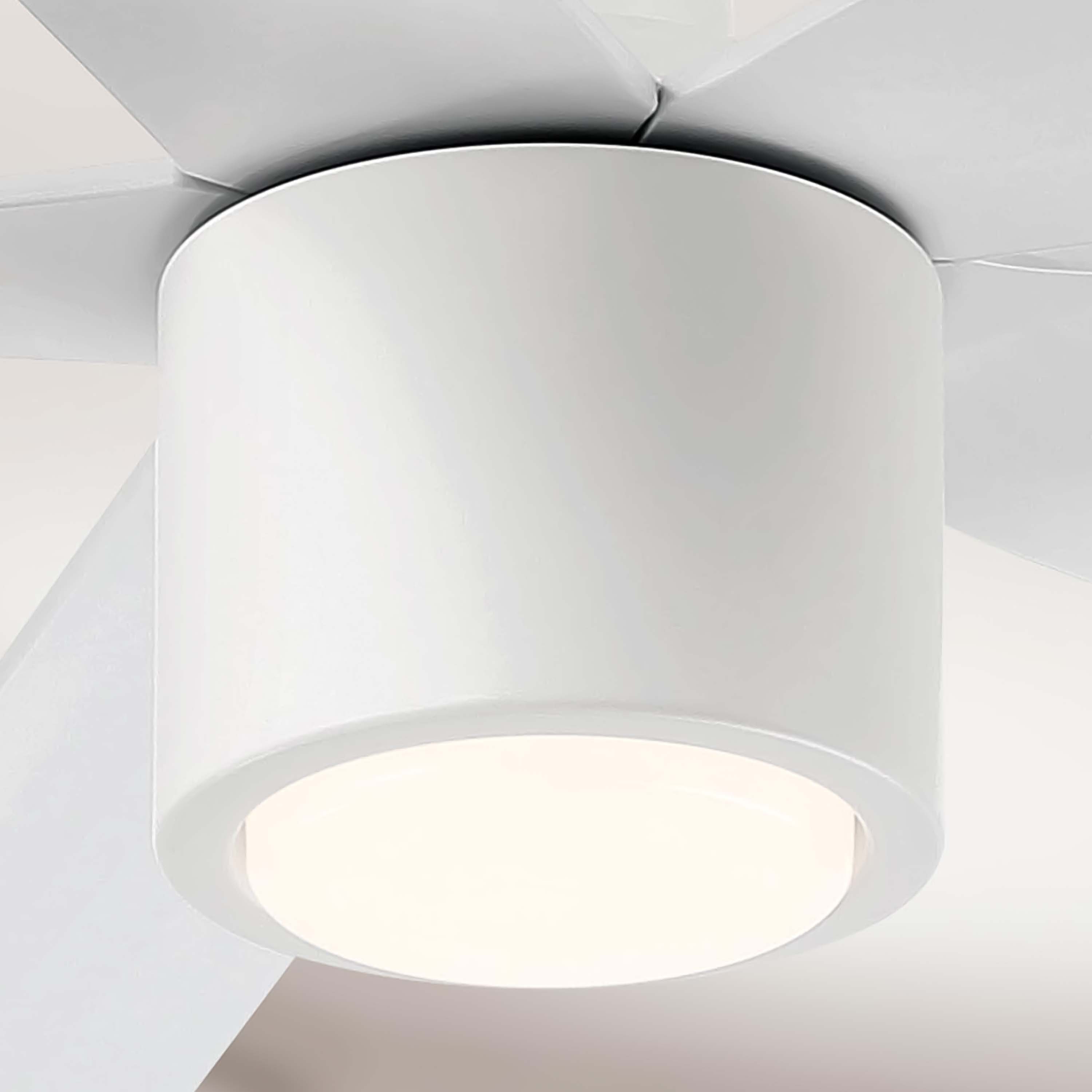 RAVIAN 60-inch 5-blade ceiling fan with modern design and remote control