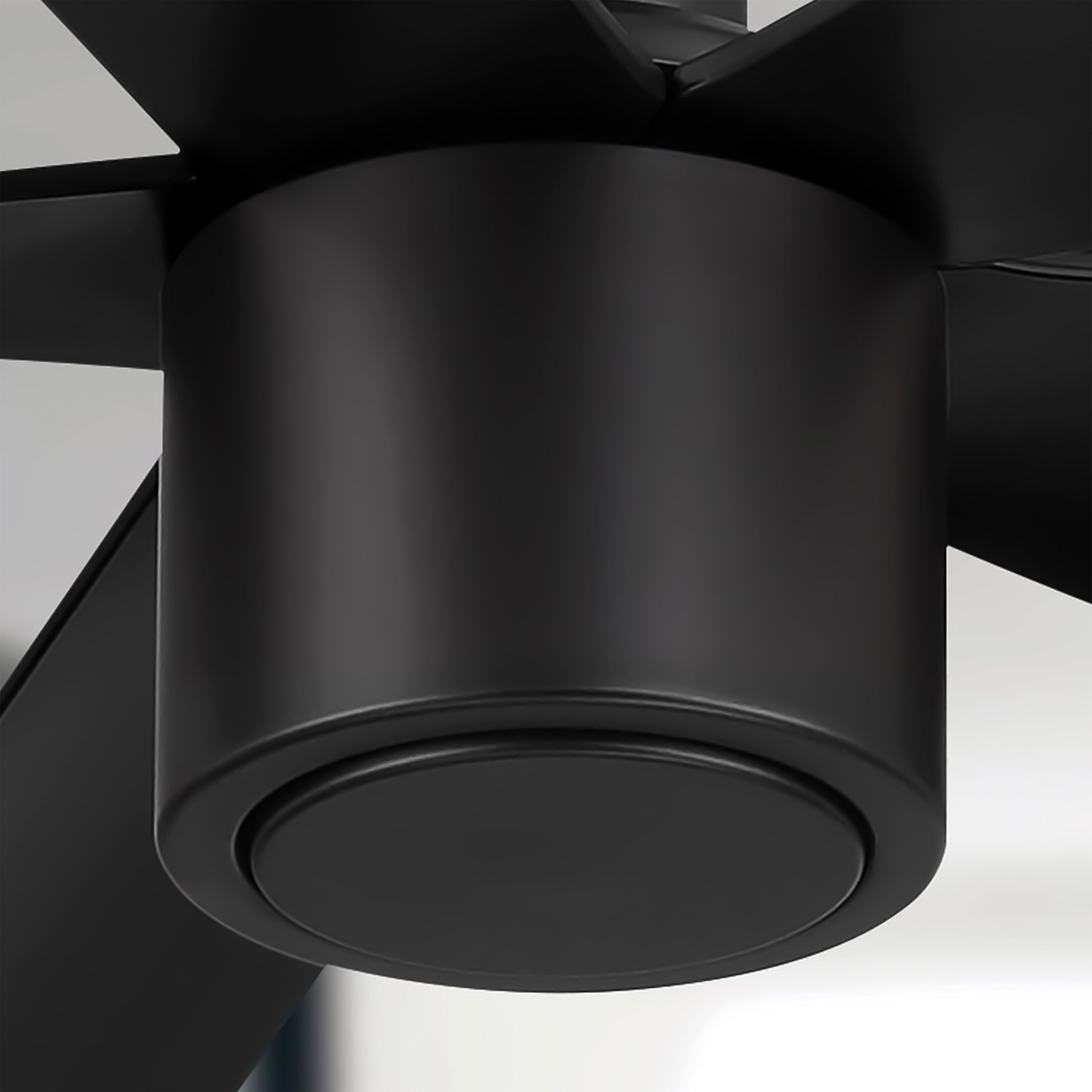 RAVIAN 60" 5-blade ceiling fan with modern design, remote control, and energy-efficient DC motor