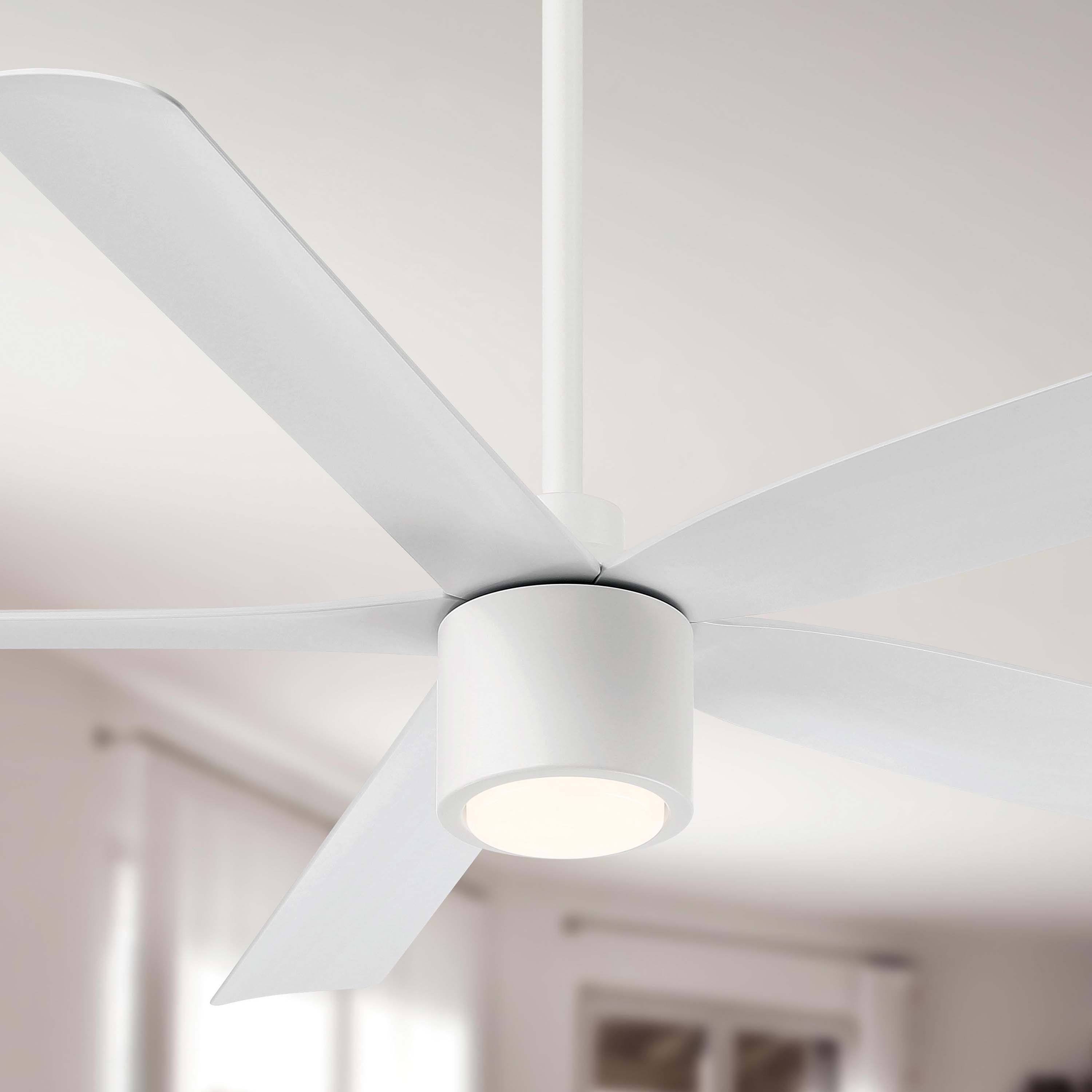 RAVIAN® 60" 5-Blade Ceiling Fan