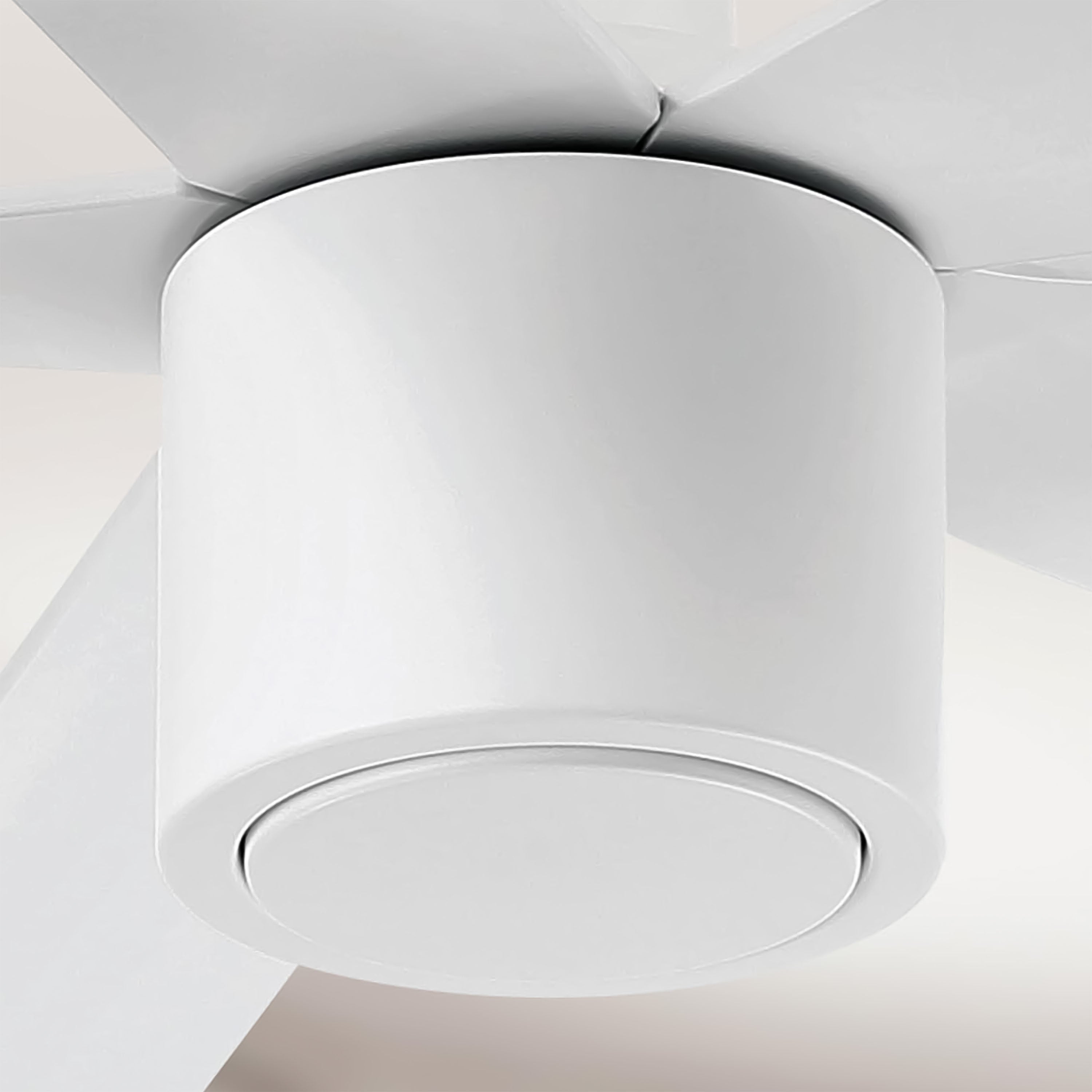 no light on RAVIAN® 60" 5-Blade Ceiling Fan